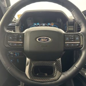 2021 Ford F150 Lariat 4WD